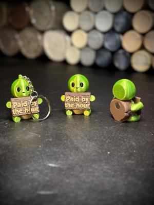 Timmy the timely turtle