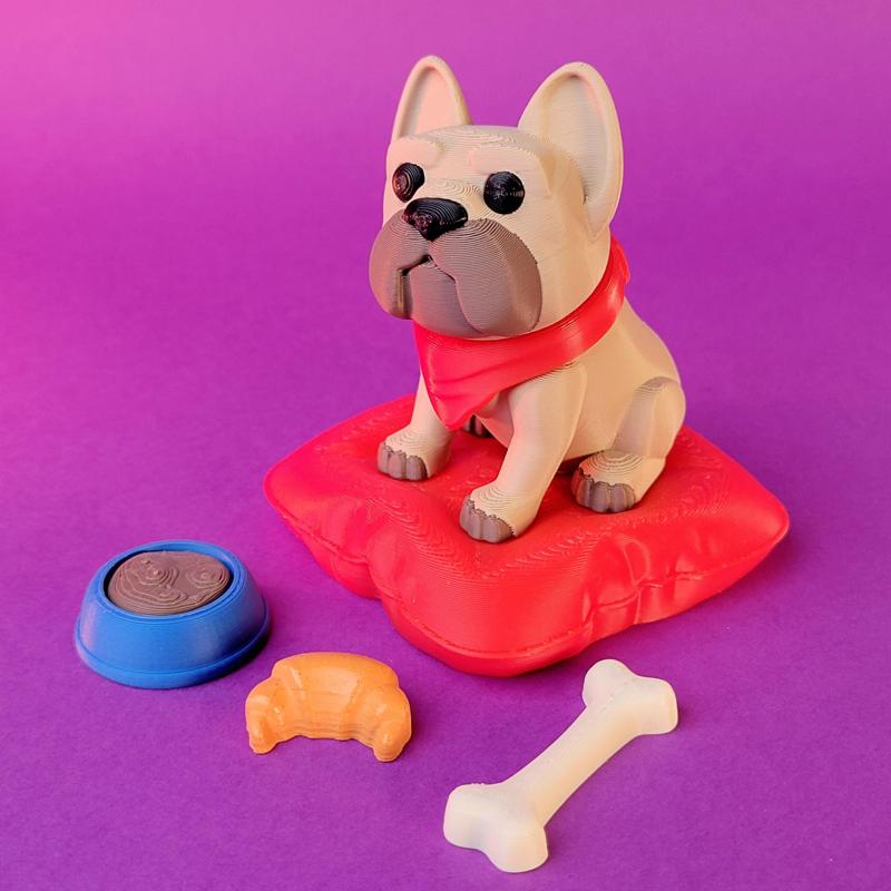 POPOL - The cute little Dog