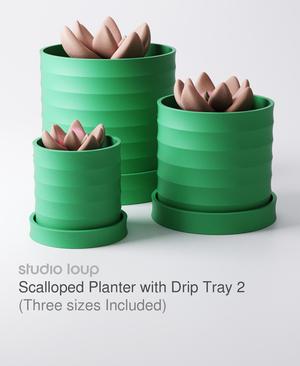 Scalloped Planter with Drip Tray Type 2 (3 Sizes Included)