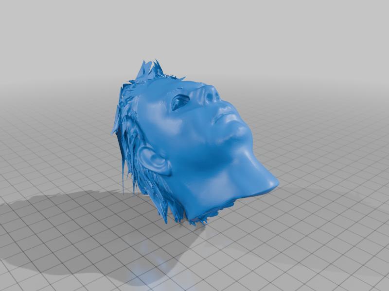 H20 michael myers bust