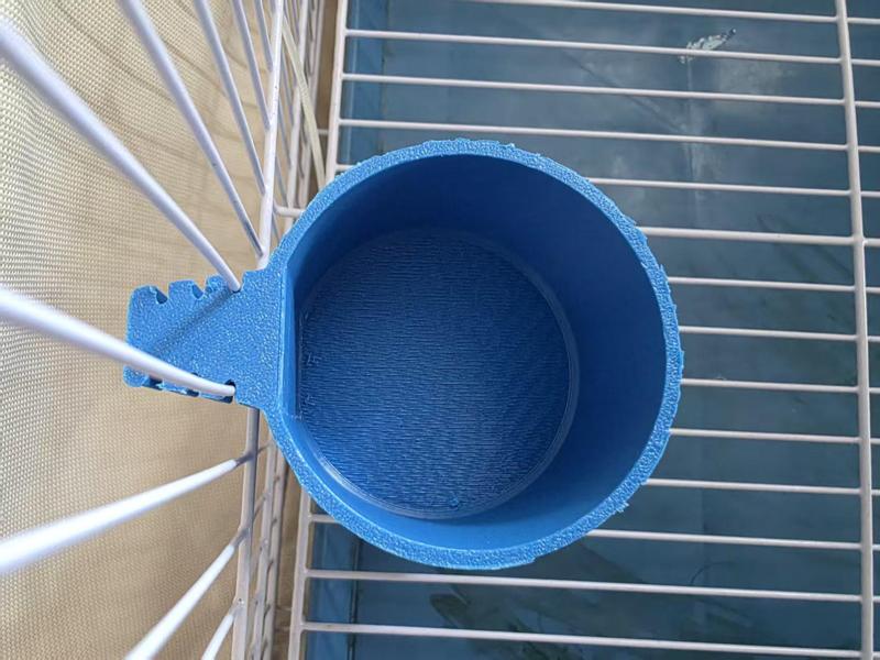 Bird Feeder (Pet Bird Accessory Slot Design)