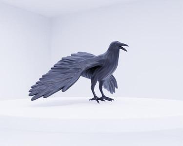 Crow - Mystical Bird of Omen