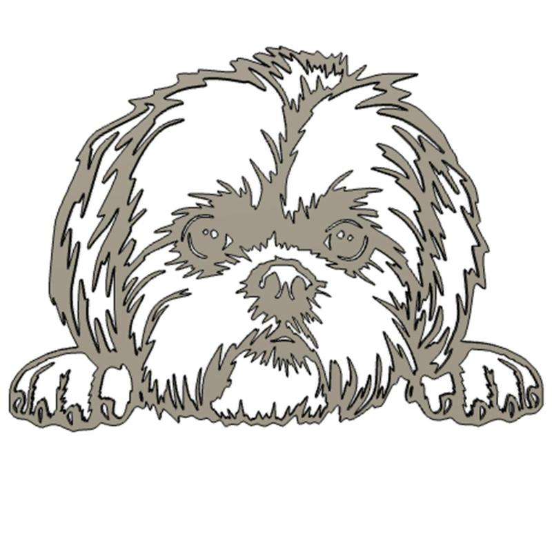 DOG - Shih tzu