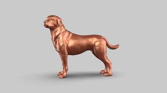 Rottweiler Pose 01