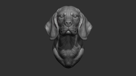 Beagle dog bust
