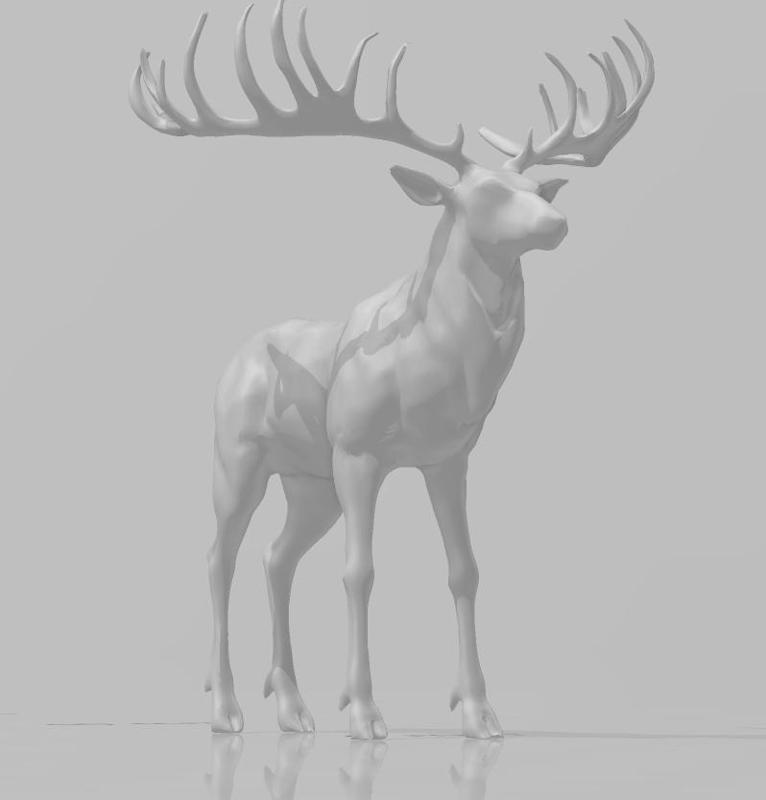 a big reindeer