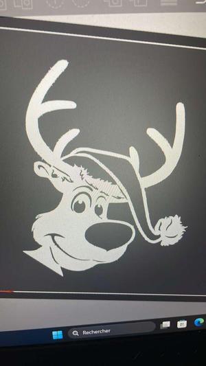 reindeer
