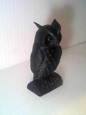 Owl with Rotating Head
