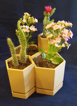 4 Hex Segments Flower Pot