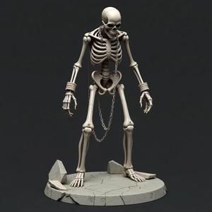 Skeleton #26