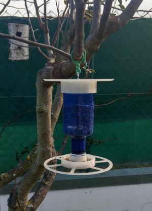 Comedero aves con botella de agua