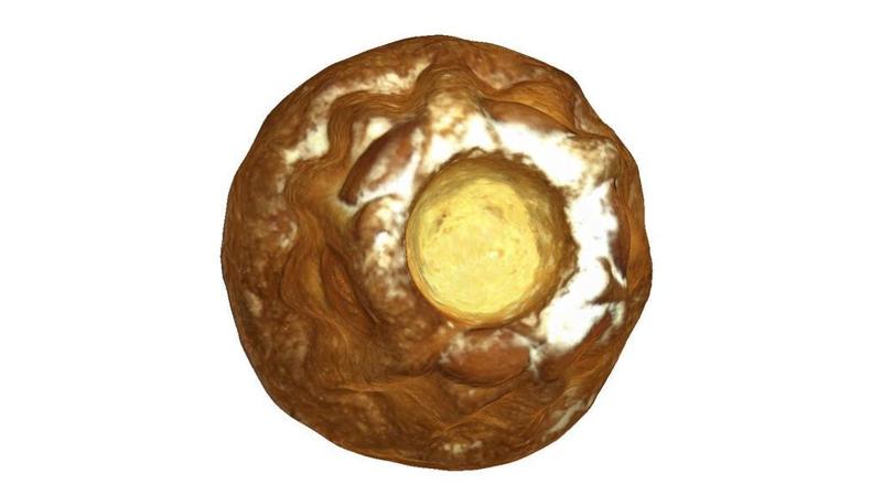 The Kouglof