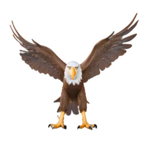 Majestic Eagle