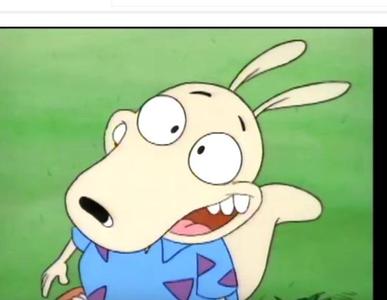 Rocko from Rocko's Modern Life