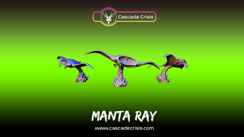 Manta Ray
