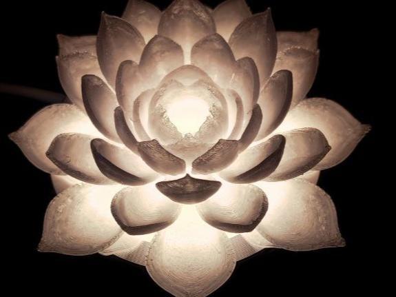 Ninfea lamp bambu kit