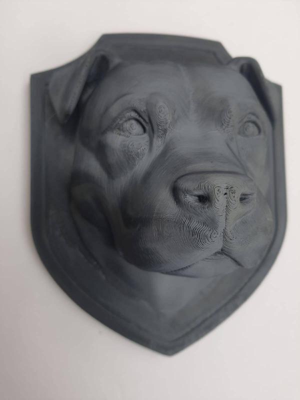 Staffordshire Bull Terrier Staffy head dog wall trophy animal