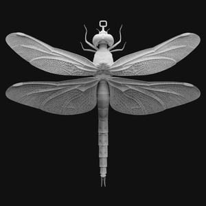 Dragonfly Pendant Sculpture