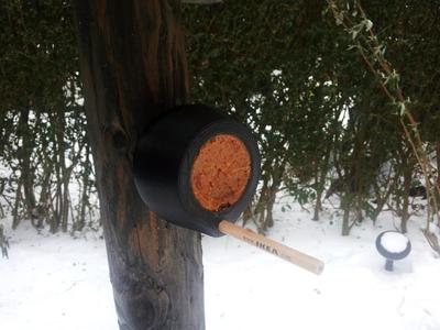 Peanut Butter Bird Feeder