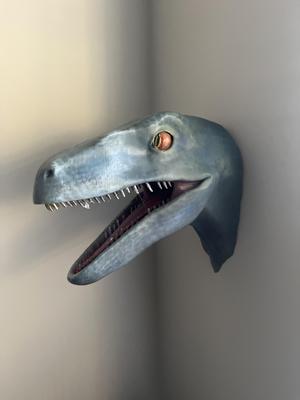 Raptor Head