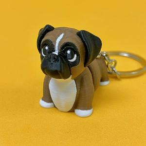 Little dog, flexi boxer