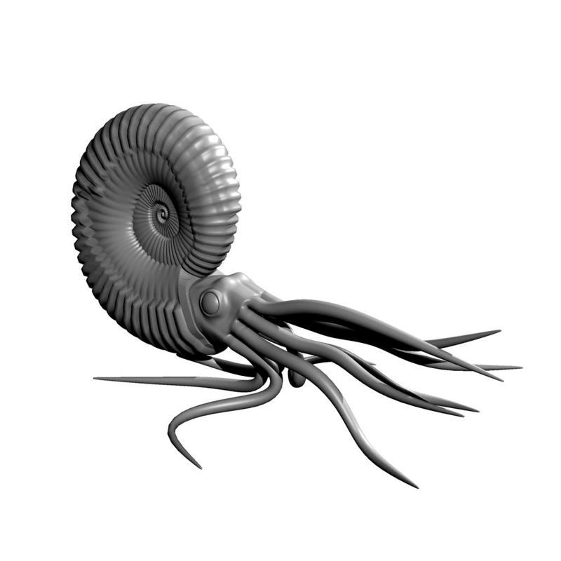Ammonite head and tentacles