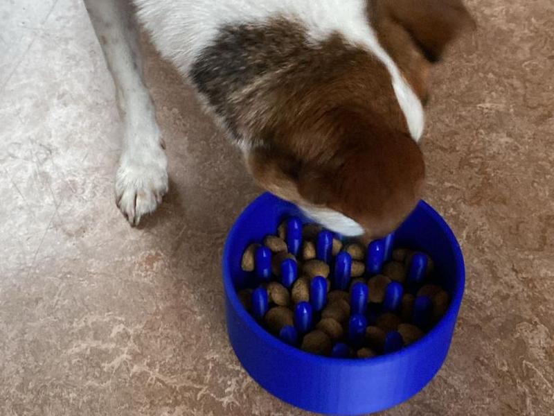 Dog or cat slow feeder bowl