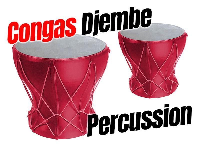 Congas – Djembe – Bongo Percussion 2025