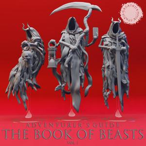 Wraiths - Book of Beasts - Tabletop Miniatures (Pre-Supported)