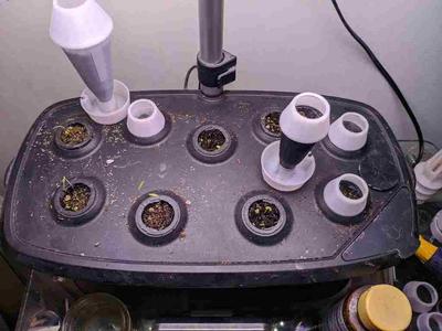 Aerogarden Seed pod, or Seed starting pod