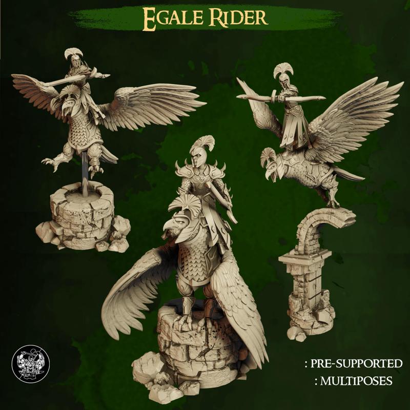 Eagle Rider - High Elves