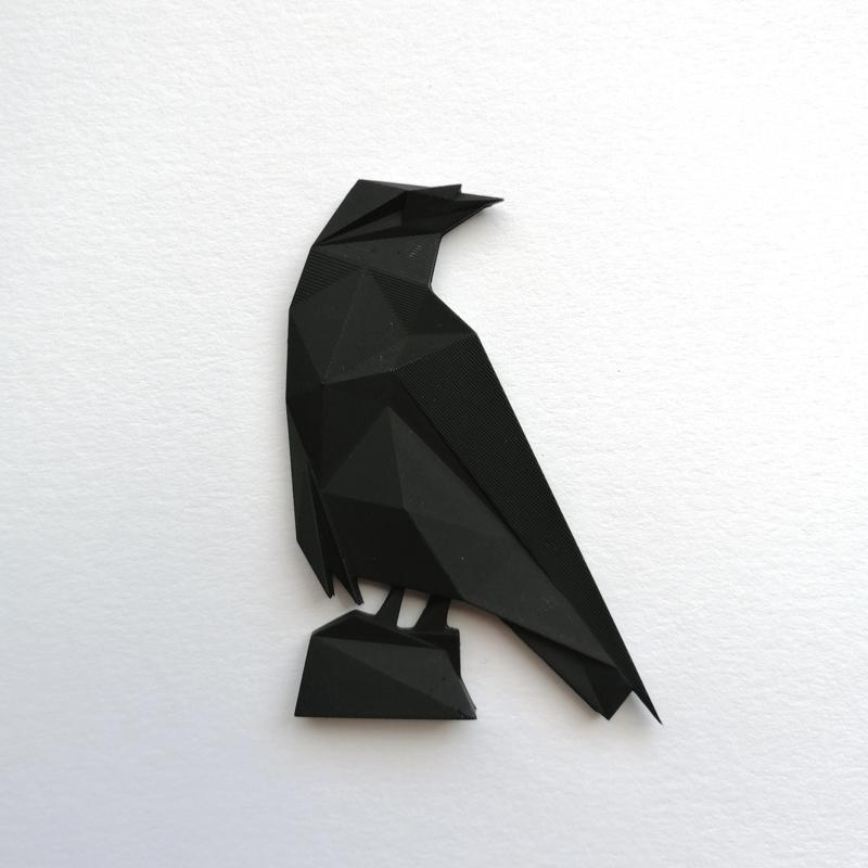 Geometric raven