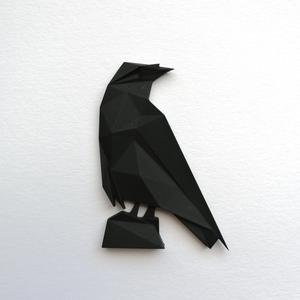 Geometric raven
