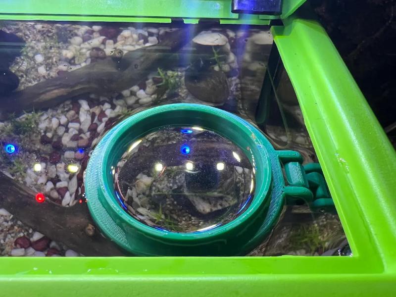 Fish Feeding Ring   