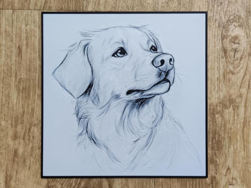 Golden Retriever dog - hueforge