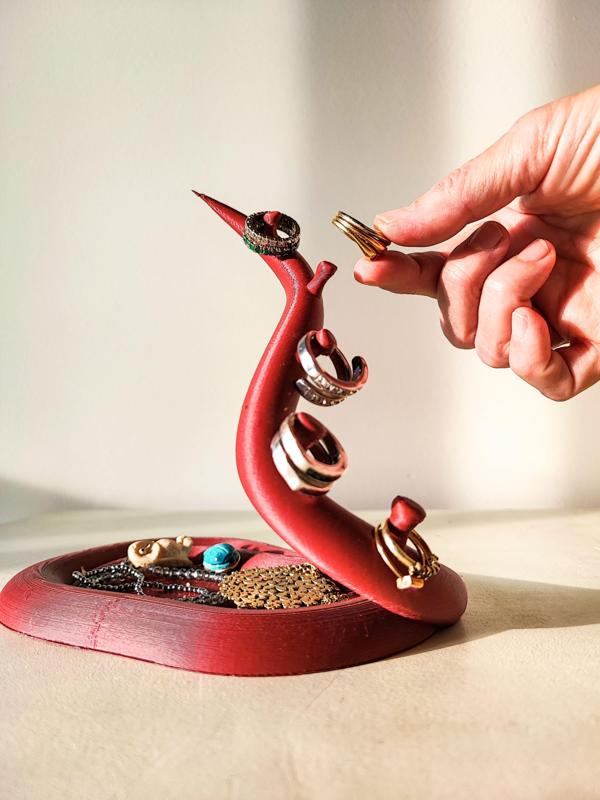 Pólipo : Jewelry holder