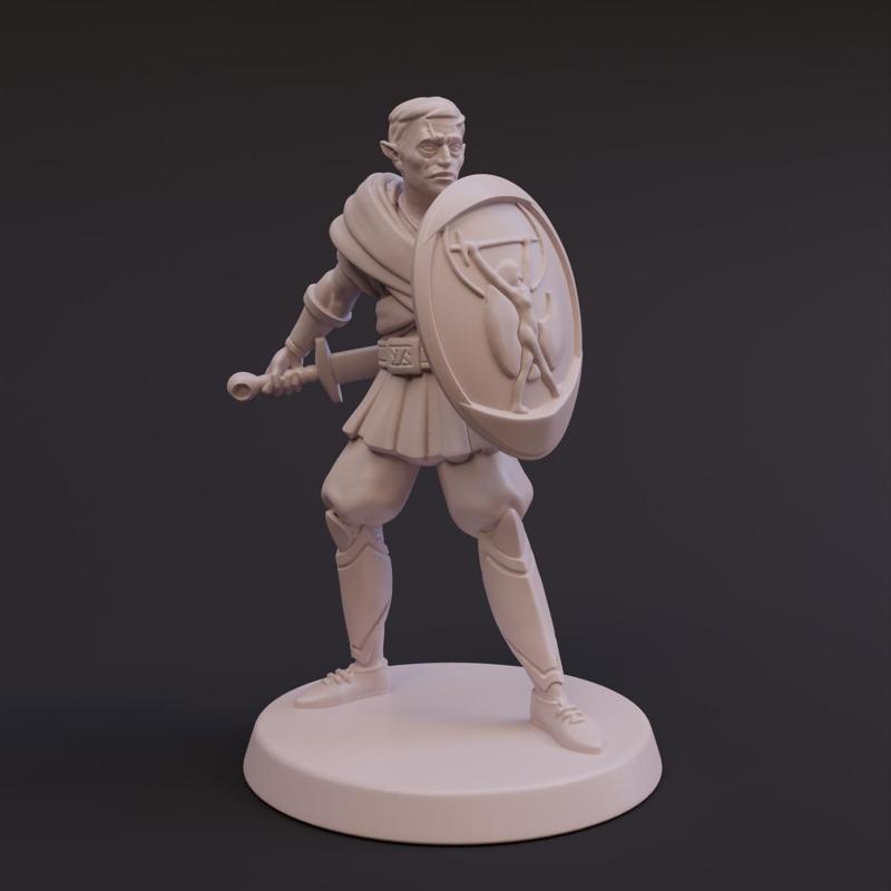 Half Elf Paladin - Sundalion - Tabletop Miniature - DnD
