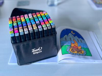 TikTok 80pcs Colouring Pen Divider