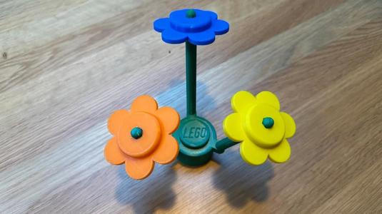 A flat flower   