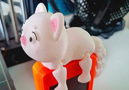 Cat: Articulated Cat   