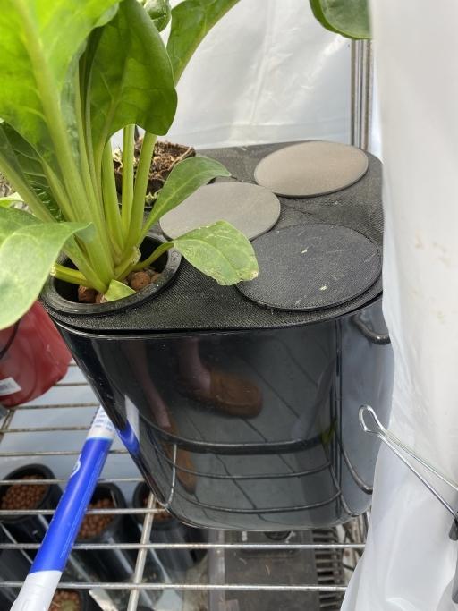Kratky Bucket Cover Black