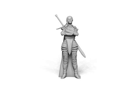 Elf Knight - Bandits and Knights Vol.2 Kickstarter