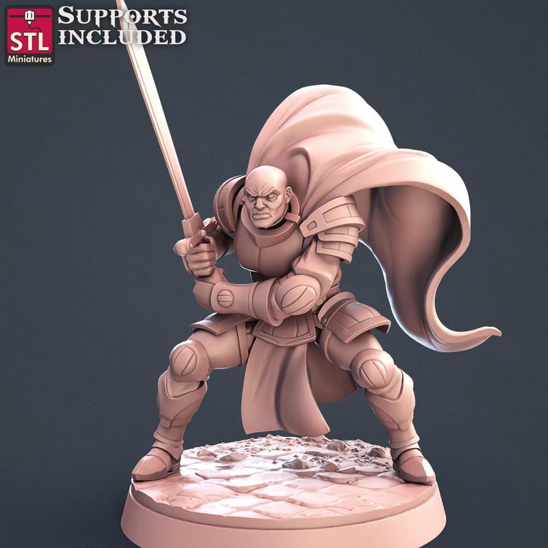 Paladin D Human Male