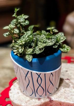 Flower Pot   