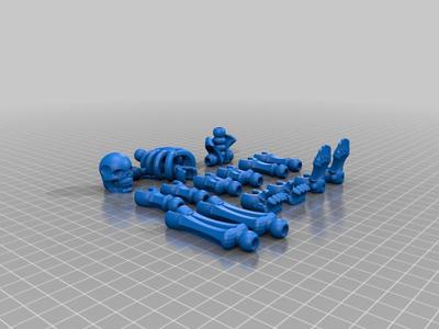 Bones