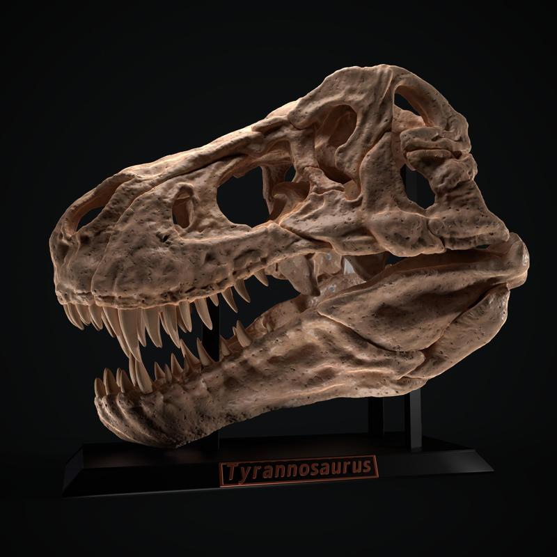 Tyrannosaur Skull (+face mask)