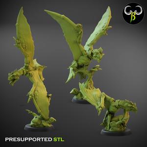 Raptawings set B