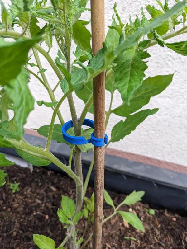 Adaptable Plant Clip (Tomato Clip)   