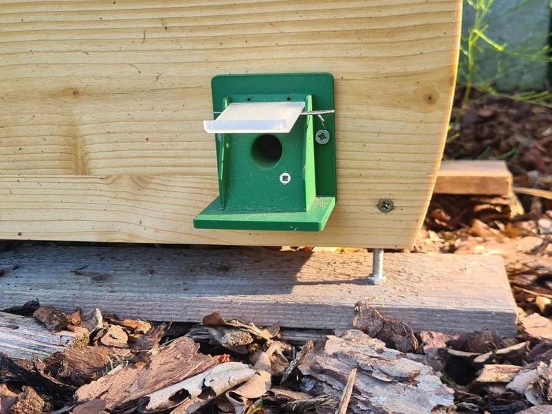 Bumblebee house door   