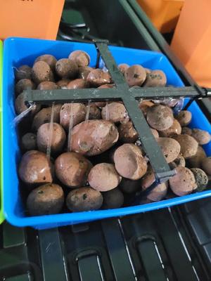 Drip Irrigation square   